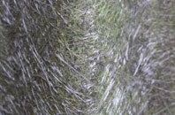 Fairmilehead fibreglass roof work